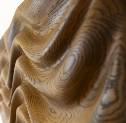 Decorative objects - Poseidon | Sculpted Wall Art | Eurpean Oak Wood - NEXART