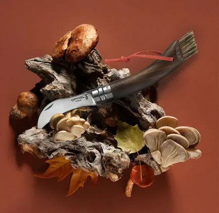 Couverts & ustensiles de cuisine - Plumier N°08 Champignon Noyer Noir - OPINEL