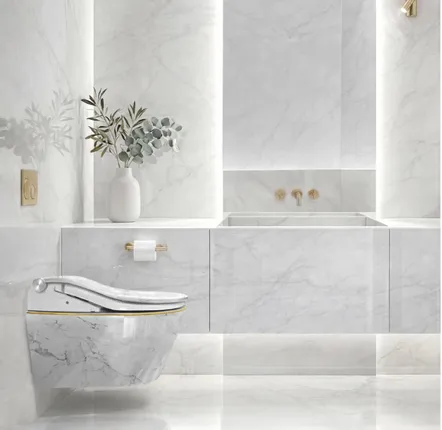Ceramic - Blanc Series – RW edition - Toilets - ARTOLETTA® MAISON COLLECTION
