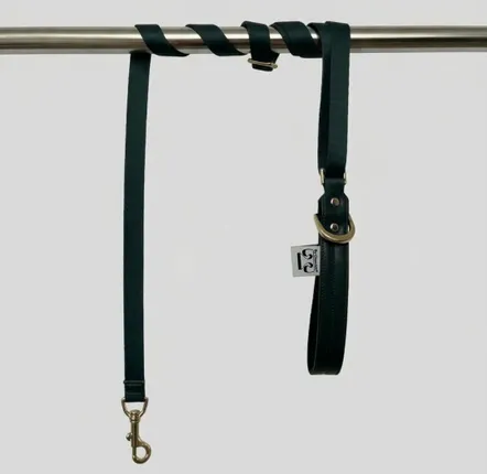 Cadeaux - Laisse Churchill - Laisse pour chien - Vert sapin - 90/150 cm - BY CHURCHILL.®