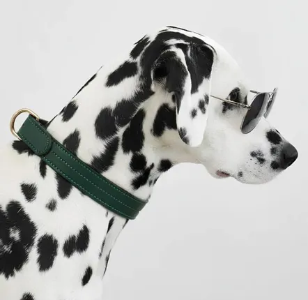 Cadeaux - Collier Churchill. - Collier pour chien - Vert sapin - BY CHURCHILL.®
