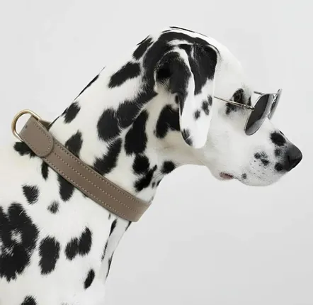 Gifts - Churchill collar. - dog collar - brown - BY CHURCHILL.®