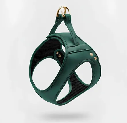 Gifts - Churchill harness. - dog harness - green - BY CHURCHILL.®