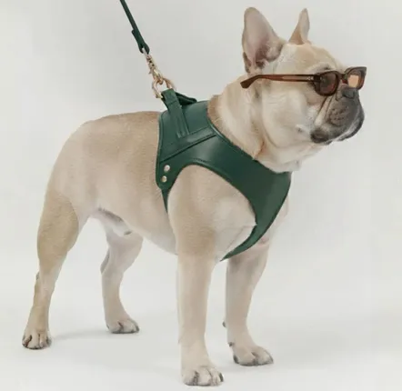 Gifts - Churchill harness. - dog harness - green - BY CHURCHILL.®