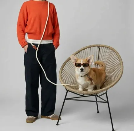 Cadeaux - Laisse ROSA. - Laisse pour chien - Blanc Crème - 175 cm - BY CHURCHILL.®