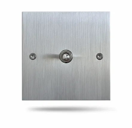 Decorative objects - Initial - Brushed stainless steel 1 x 80x80 vertical push button - 6IXTES