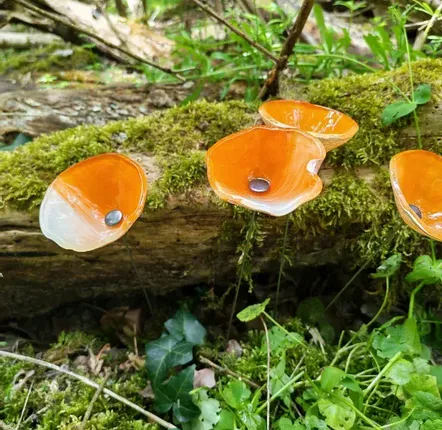 Accessoires de jardinage - Fleur de calla pour l'extérieur en crème-orange - CARNEOL GLASS