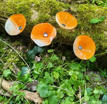 Accessoires de jardinage - Fleur de calla pour l'extérieur en crème-orange - CARNEOL GLASS