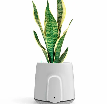 Petit électroménager - Vitesy Natede Smart - VITESY