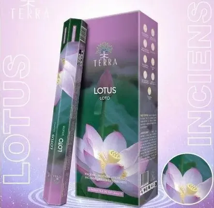 Parfums d'intérieur - Encens Terra Sans Charbon Hexa - Lotus 30g - ARABESK