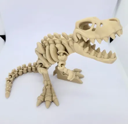 Gifts - Articulated dinosaur skeleton figures - ZANIMIZ