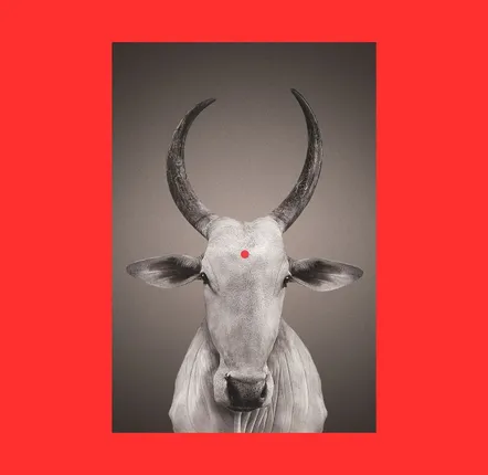 Art photos - NO-MAD Nandi Portrait Canvas Wall Art - NO-MAD