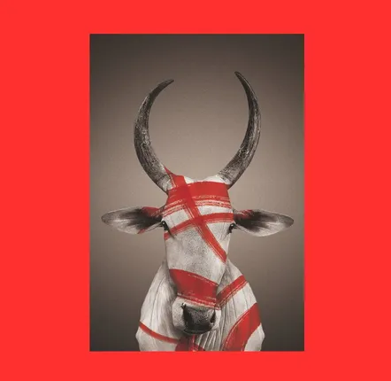 Art photos - NO-MAD Nandi Portrait Canvas Wall Art - NO-MAD