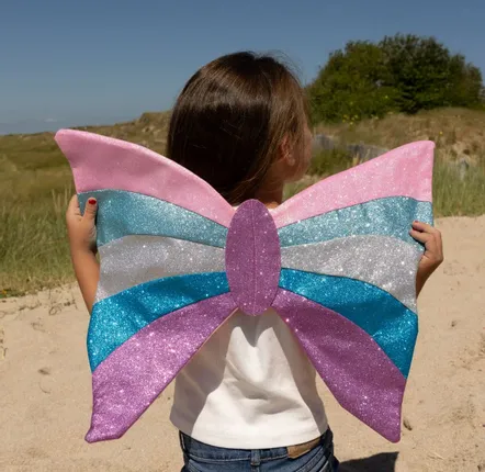 Déguisements pour enfant - Ailes de Papillon Rose Arc en Ciel - Déguisement - LABAY