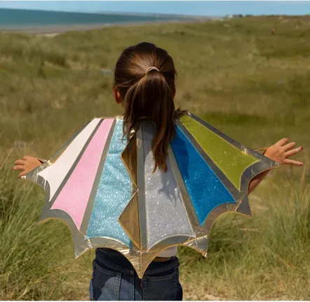 Déguisements pour enfant - Drago Ailes de Dragon TU - Déguisement - LABAY