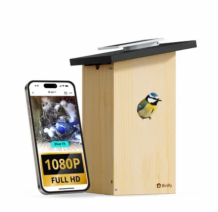 Accessoires de jardinage - nichoir en bois Birdfy Ebony - BIRDFY