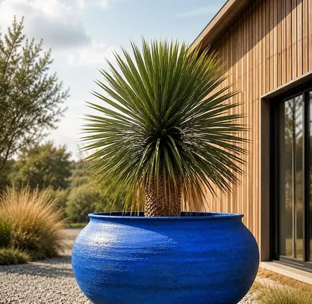 Pots de fleurs - Jardinière architecturale d'extérieur – COTYLA I - CERAMIC FACTORY