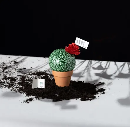 Poterie - Medusa and the Basil Bush - LABORATÓRIO D'ESTÓRIAS