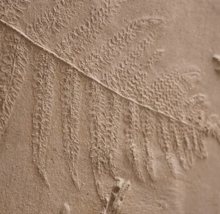 Decorative wall frescoes - Footprints, Pteridium aquilinum and Carpinus betulus - ATELIER MATHILDE FAUCARD
