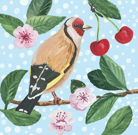 Placemats - European Songbirds Coaster - ZOOH