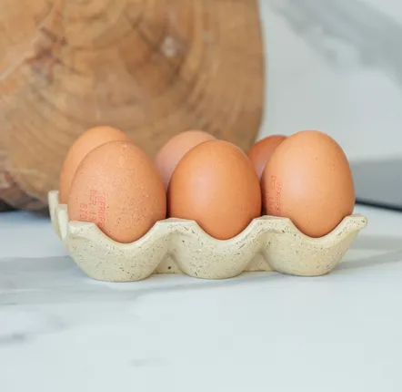 Boîtes de conservation - Boîte à œufs Célestin - ERBEKO