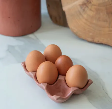 Boîtes de conservation - Boîte à œufs Célestin - ERBEKO
