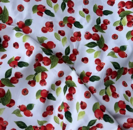Fabrics - Cotton fabric Oeko Tex - Les Goyaviers - POP ET SES FRÈRES