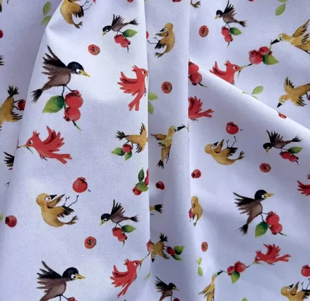 Fabrics - Cotton fabric Oeko Tex - Les Oiseaux et les Goyaviers - POP ET SES FRÈRES