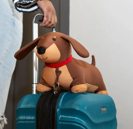 Bags and backpacks - Zip & Flip Dachshund Pillow - KIKKERLAND