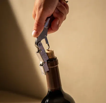 Accessoires pour le vin - Vacuvin - BASTIDE 1880