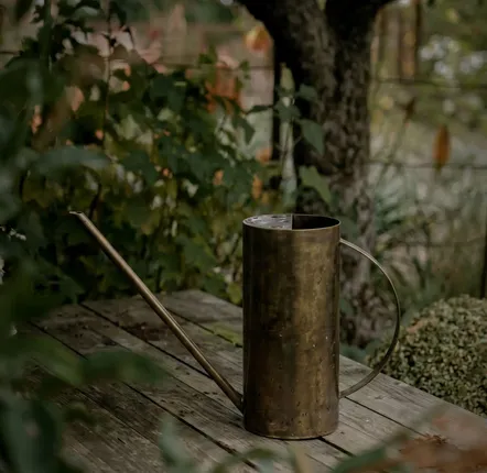 Accessoires de jardinage - Le Golden Pour Verseur - Or - BAZAR BIZAR LIVING