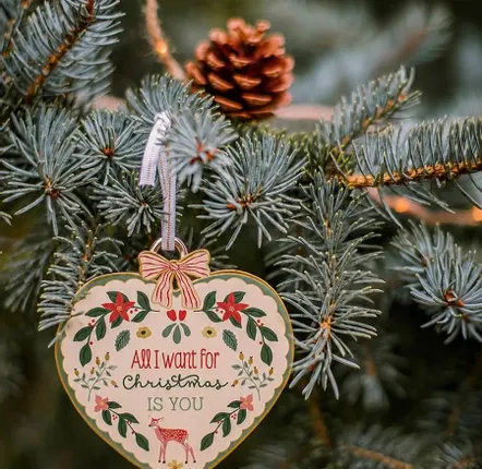 Guirlandes et boules de Noël - Décoration de Noël All I want for christmas is you – Hirondelles & Cie - HIRONDELLES &CIE