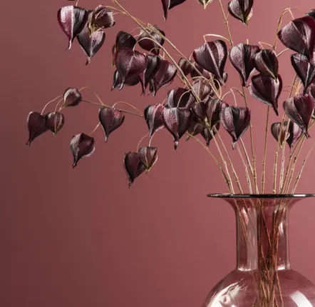 Floral decoration - Physalis Franchet - LOU DE CASTELLANE