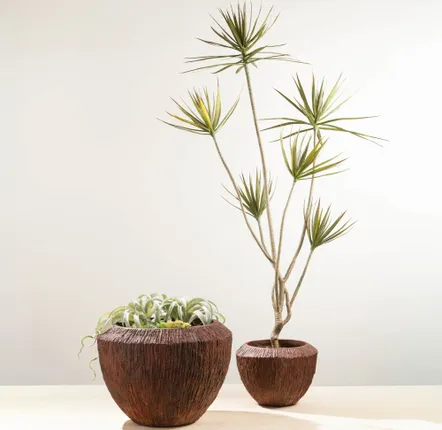 Vases - Hoa Cachepot - LOU DE CASTELLANE