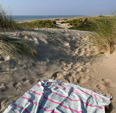 Other bath linens - hammam towel sage/fuchsia 170x100cm - OTTOMANIA