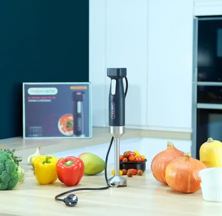 Small household appliances - The Hand Blender - NOBSOLETE