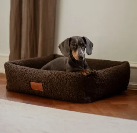 Lits - Lit pour chien en mousse viscoélastique / Nuna - DREW'S DOGWEAR