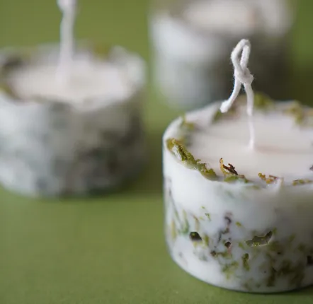 Candles - KOTT Botanical Candle | Moss | Among the Willows | 100g - KOTT