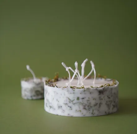 Candles - KOTT Botanical Candle | Moss | Among the Willows | 900g - KOTT