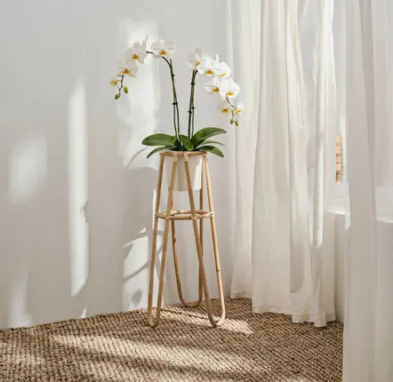 Floral decoration - Tige Natural Rattan Plant Stand - LO-FI HOUSE