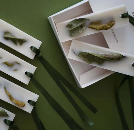 Objets de décoration - Tablette de cire botanique KOTT | Hadong - KOTT