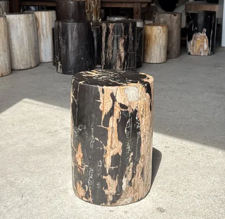 Stools - Black petrified wood side table beige side H35 D24 - 3352 - OFFICE OBJETS