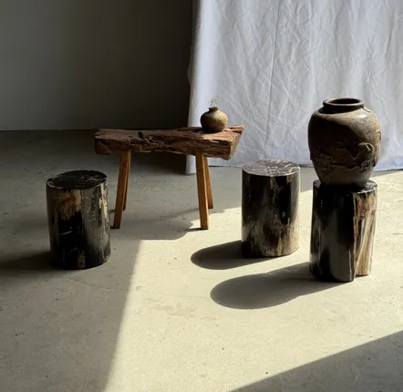 Stools - Black petrified wood side table beige side H35 D24 - 3352 - OFFICE OBJETS