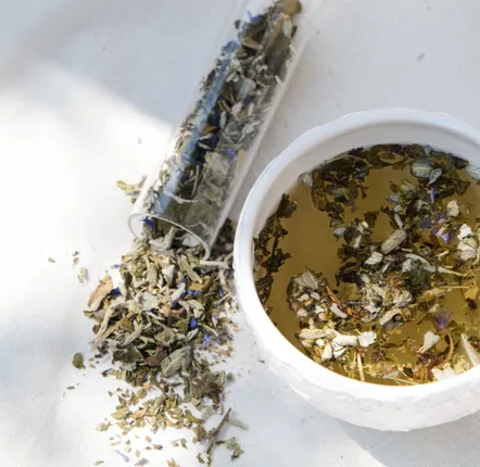 Coffee and tea - LES INSTANTS Herbal Teas - Collection of teas for feminine well-being - SAS ENTRE DEUX HAIES