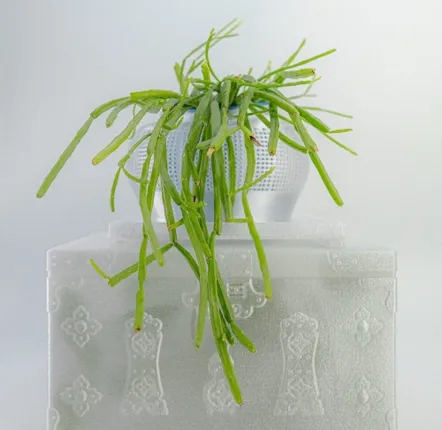Design objects - SOHO - KMOMENT