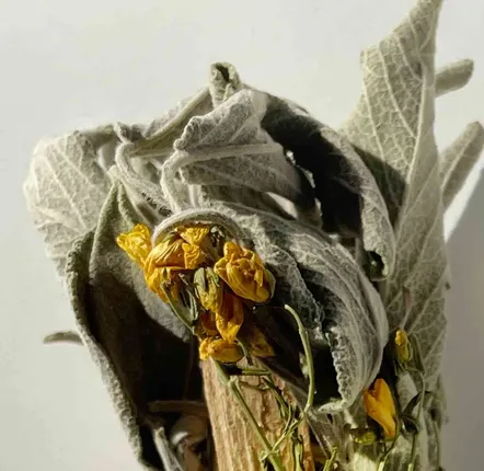 Cadeaux - Bouquet du petit Cerf - bâton de sauge bio - TOTEM NATURE