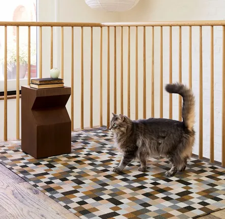 Contemporary carpets - Placemat and Rug - TINT - CHILEWICH