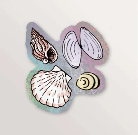 Stationery - Glitter sticker - 4 seashells - TABLE À CARTES