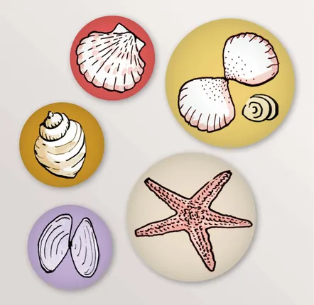 Design objects - Set of 5 seashell magnets - TABLE À CARTES