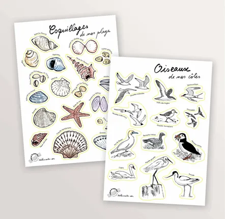 Stationery - 2 A5 sticker sheets: Birds and Seashells - TABLE À CARTES